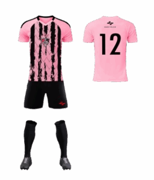 Official Cobras Pink Training Set
